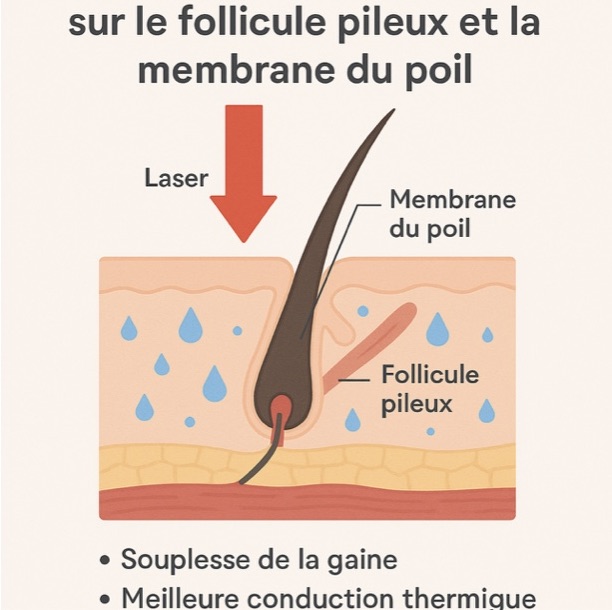 Hydratation et exfoliation : la clé d’une épilation laser efficace chez Centre Koel